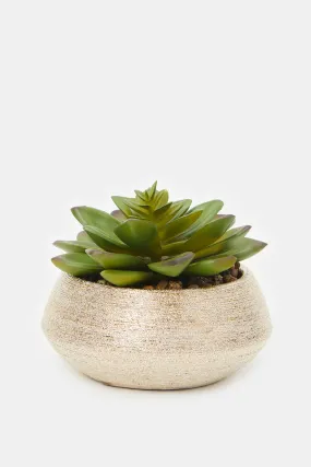 Artificial Succulent Cactus In Gold Ceramic Pot