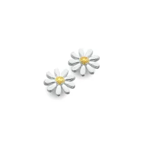 Meadow daisy studs