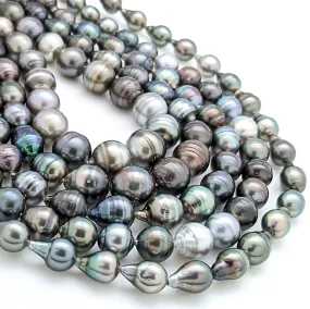 Tahitian Pearls - 10mm to 15mm